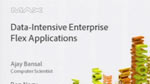 Data-Intensive Enterprise Flex Applications
