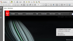 PDF aus dynamischen Webseiten in Acrobat X generieren