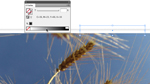Einen virtuellen Klebestreifen in InDesign CS4 erstellen Einen virtuellen Klebestreifen in InDesign CS4 erstellen