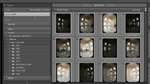 Import von der Speicherkarte in Lightroom 3 Import von der Speicherkarte in Lightroom 3