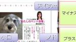 レイアウトグリッドの設定