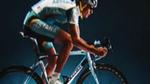Trek Bikes: Adobe Bridge