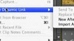 Dynamic Link