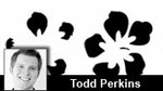 Getting Started: 12 Creating shape tweens Getting Started: 12 Creating shape tweens