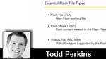 Getting Started: 02 Understanding Flash file types Getting Started: 02 Understanding Flash file types