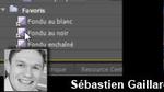 Transitions et effets favoris dans Premiere Pro CS4