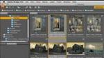 Neuheiten in Adobe Bridge CS4