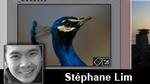 Les collections dynamiques dans Lightroom 2 Les collections dynamiques dans Lightroom 2