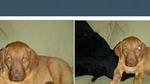 Dynamic image manipulation