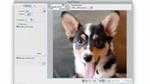 Présentation des fonctionnalités de Dreamweaver CS4