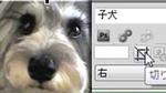 画像の編集
