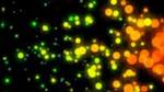 Getting Better Control of Emitter Position in Trapcode Particular Getting Better Control of Emitter Position in Trapcode Particular