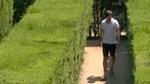 Shortcut to Brilliant – Vasava Pt 2. Shortcut to Brilliant – Vasava Pt 2.