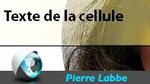 Transparence dans une cellule de tableau Transparence dans une cellule de tableau
