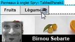 Utiliser Adobe Spry dans Dreamweaver CS4 Utiliser Adobe Spry dans Dreamweaver CS4