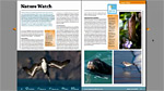 Getting Started: What is InDesign CS5?