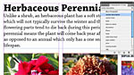 GS-07: Creating and applying paragraph styles