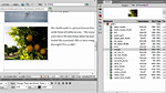 GS-04: Managing assets in Dreamweaver