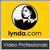 Lynda.com Training for Video Pros