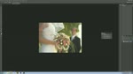 Auto Corrections