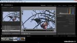 Lightroom 4: Entwickeln von Videos Lightroom 4: Entwickeln von Videos