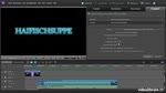 Premiere Elements 10: Export nach YouTube & Facebook