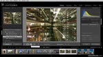 Using Compare View