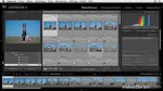 Adobe Lightroom 4 : Mots-clés