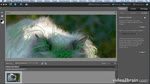 Adobe Photoshop Elements 10 : Retouche photo guidée