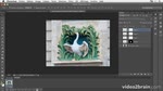 Adobe Photoshop CS6 : Créer une animation GIF