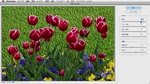 Photoshopでの補正
