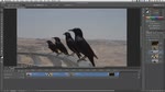 Editing Video in Photoshop CS6 Editing Video in Photoshop CS6