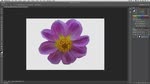 Quick Selection Tool Quick Selection Tool