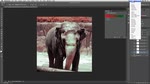 Gradient Maps