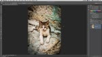 Content-Aware Patching