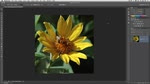 Color Range Command and Masking