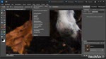 Bildrauschen in Photoshop Elements reduzieren