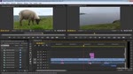 Détection des vidéos dupliquées