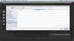 Resumen de Adobe Prelude