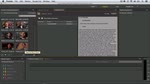 Adobe Premiere Pro und Prelude: Schnellere Bearbeitung mithilfe eines Skripts