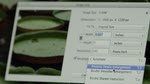 Überblick über Photoshop CC