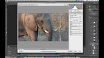 Using Photoshop with Adobe Premiere Pro: Putting It All Together