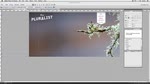 Creating an Engaging Web Design with Adobe Muse