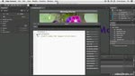 Using the Script Panel
