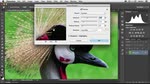 New Sharpening Technologies in Photoshop CC