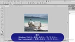 画像の読み込み