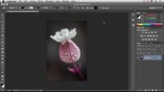 Lightroom 5 - Moving Between Lightroom and Photoshop