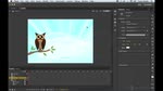 Creative Cloud Sync Settings