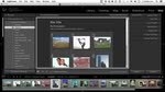 Generating a web gallery