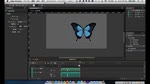 Web Design 1 : Edge Animate / 手軽に作れる HTML5 アニメーション